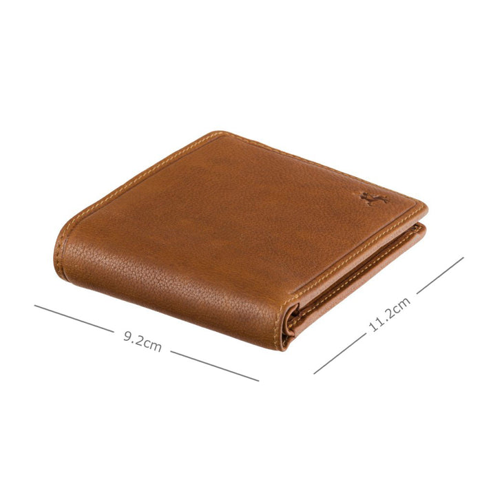 Newton - Cash & Coin Wallet