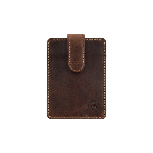 Chestnut Brown